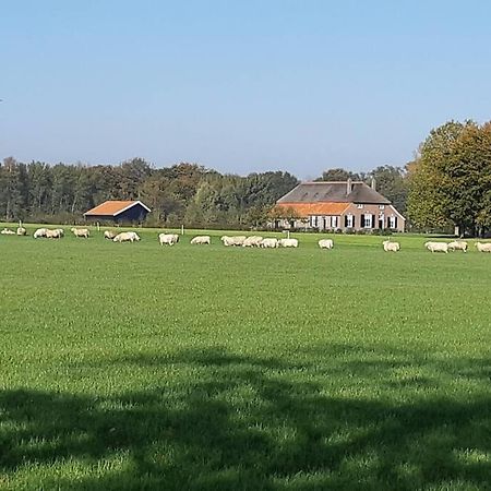 B&B Joostink In Vorden Exteriör bild